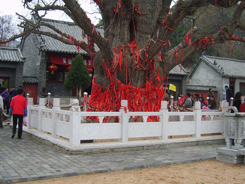 石栏杆 